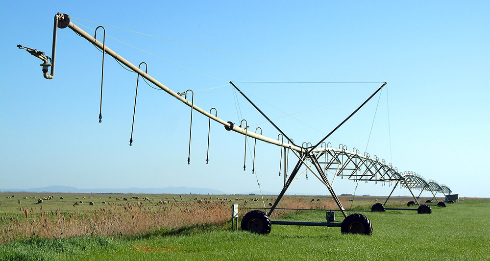 automated crop sprayer in a field