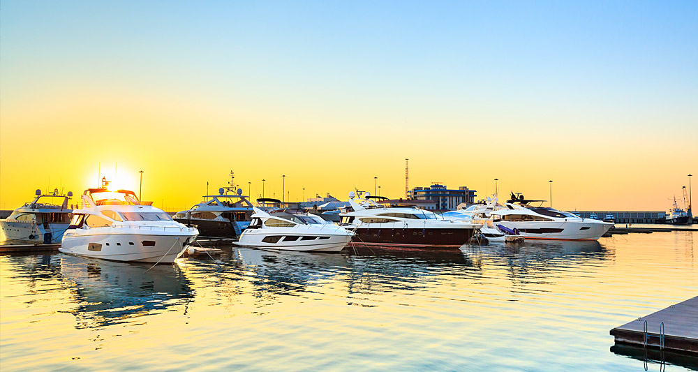 recreational boats docked in a marina